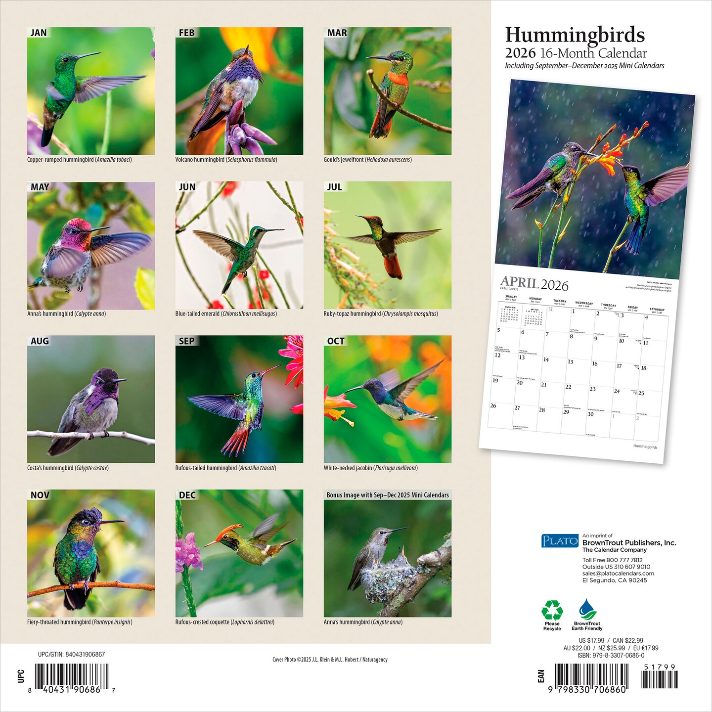 Hummingbirds | 2026 12 x 24 Inch (Hanging) Monthly Square Wall Calendar | Foil Stamped Cover