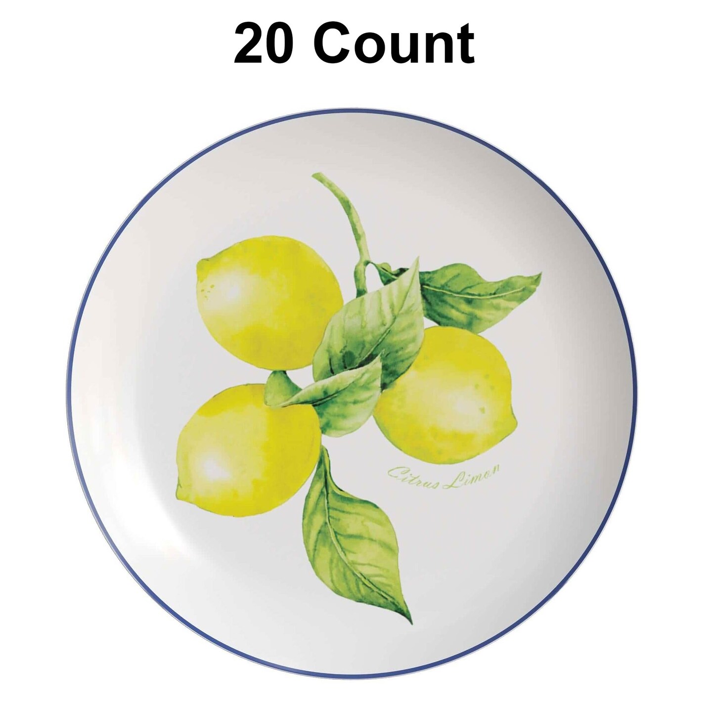 20 Count Elegant 8 Inch Earthtrends Tuscan Design Disposable Paper Plates