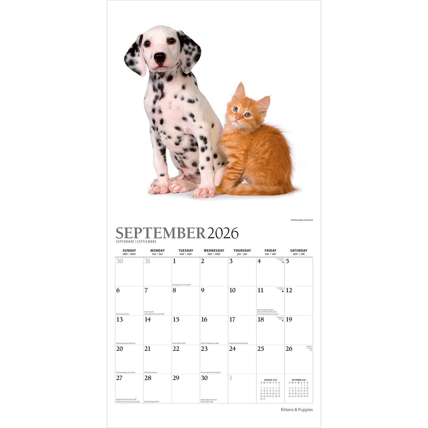 Kittens &#x26; Puppies | 2026 12 x 24 Inch (Hanging) Monthly Square Wall Calendar | Foil Stamped Cover
