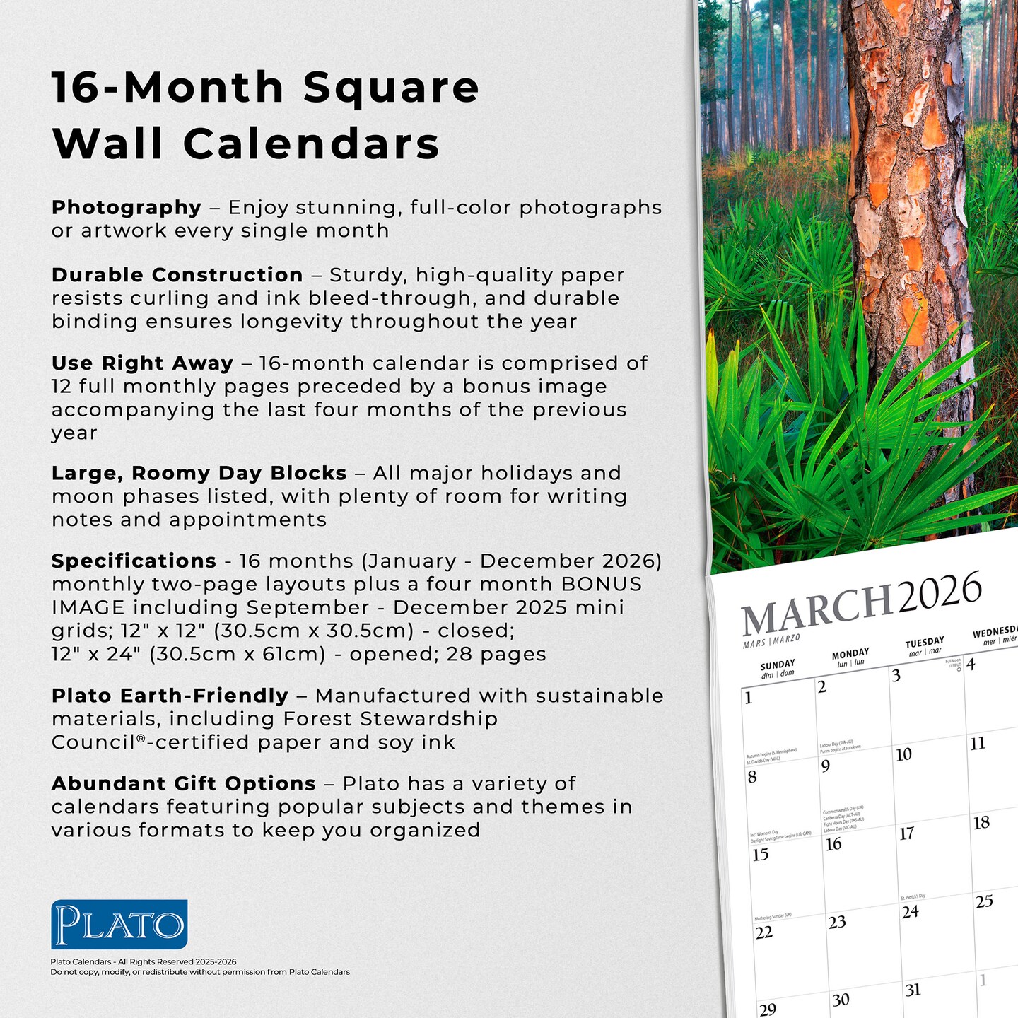 America&#x27;s National Parks | 2026 12 x 24 Inch (Hanging) Monthly Square Wall Calendar | Foil Stamped Cover