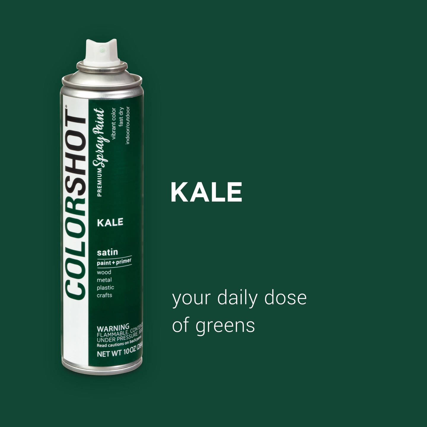COLORSHOT Satin Spray Paint Kale (Dark Green) 10 oz. 4 Pack