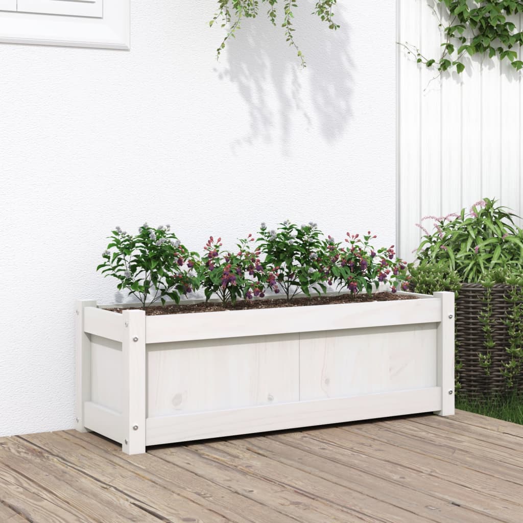 fertilizer for jade plant Casa De Amor Organic Jade Plant Fertilizer, Heathier Greener and Shini