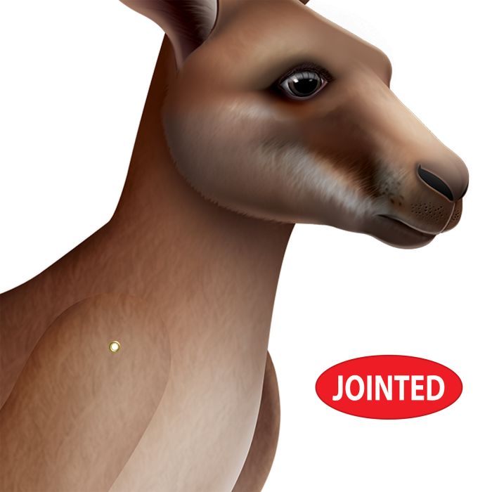 12 Pack Beistle Jointed Kangaroo Wall Decoration