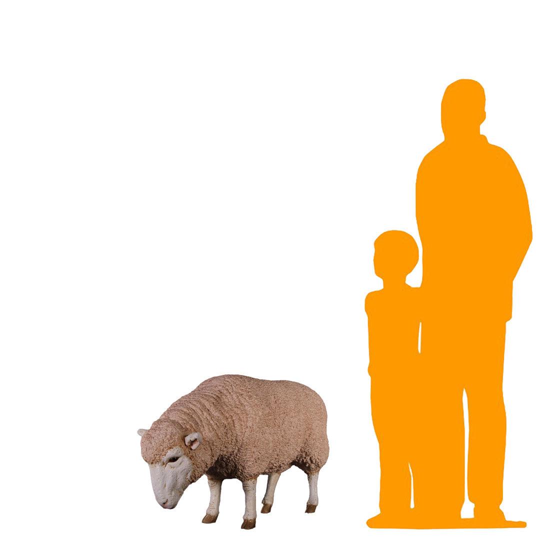 Merino Ewe Sheep Head Down Life Size Statue