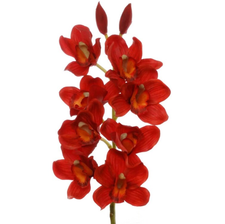 30&#x22; Cymbidium Orchid Stem - 3 PACK