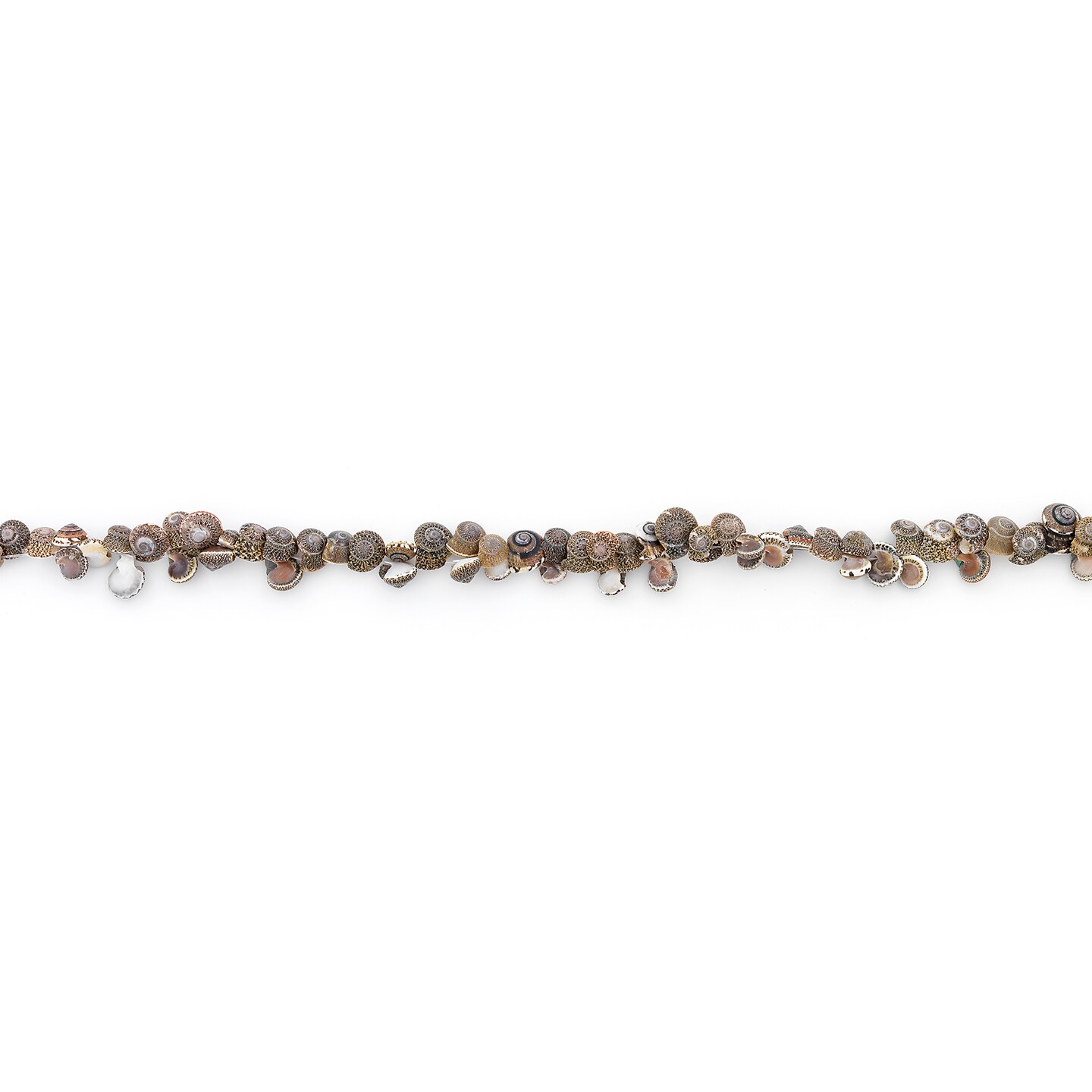 Spotted Mud Shell Beads - 26 pcs.