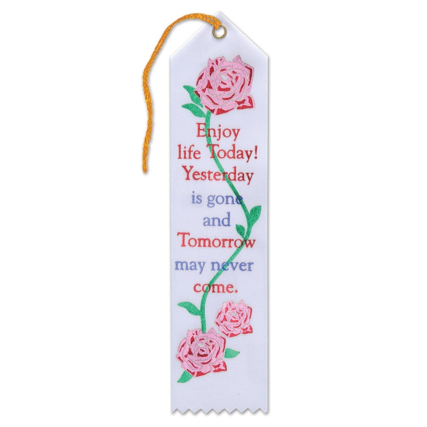 6 Pack Beistle Enjoy Life Today Ribbon