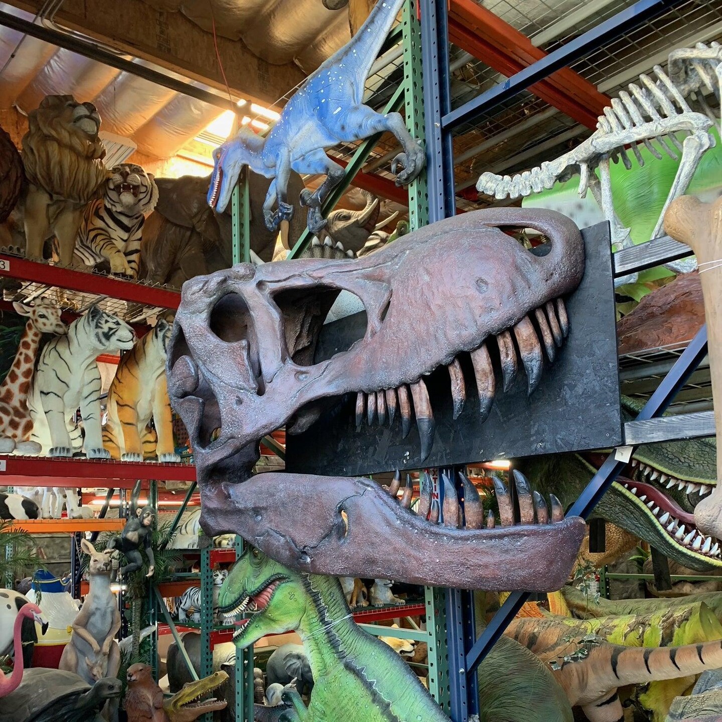 T-Rex Skull Wall Decor Life Size Statue