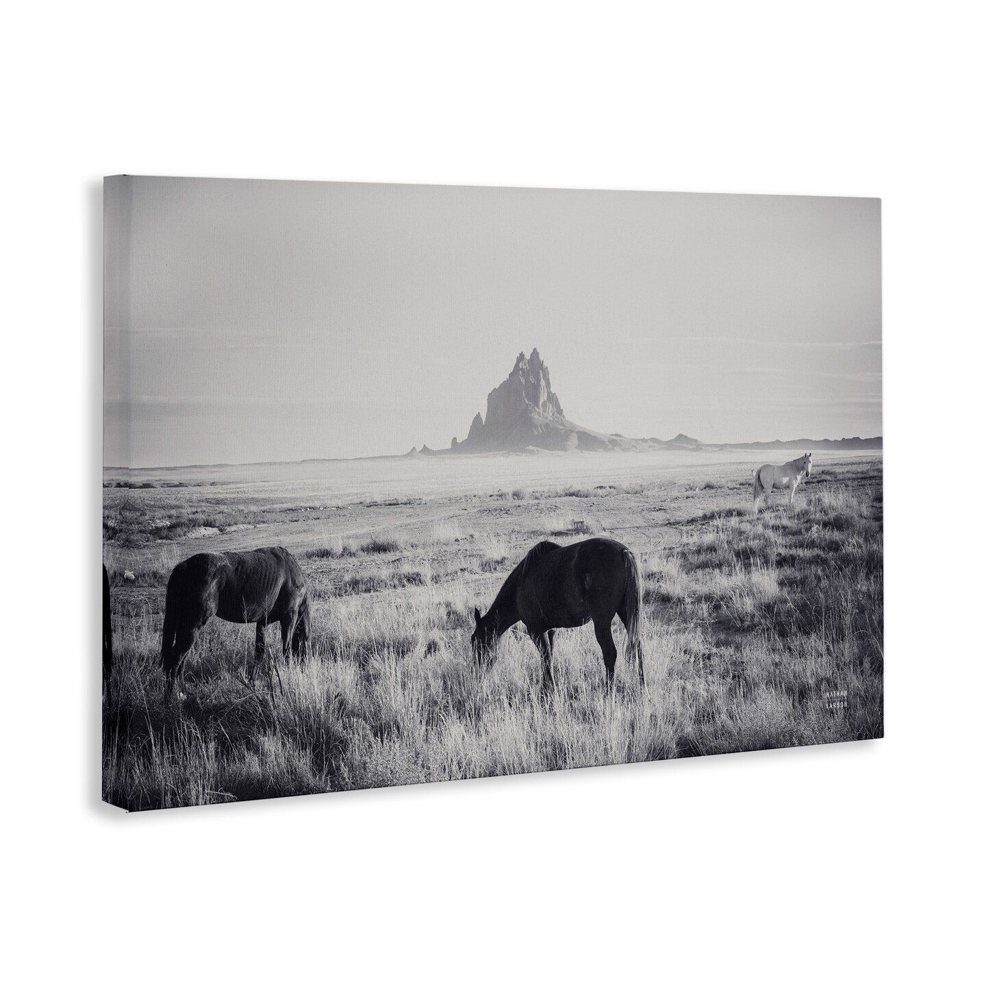 Stupell Industries Western Range with Horses Canvas By Nathan Larson