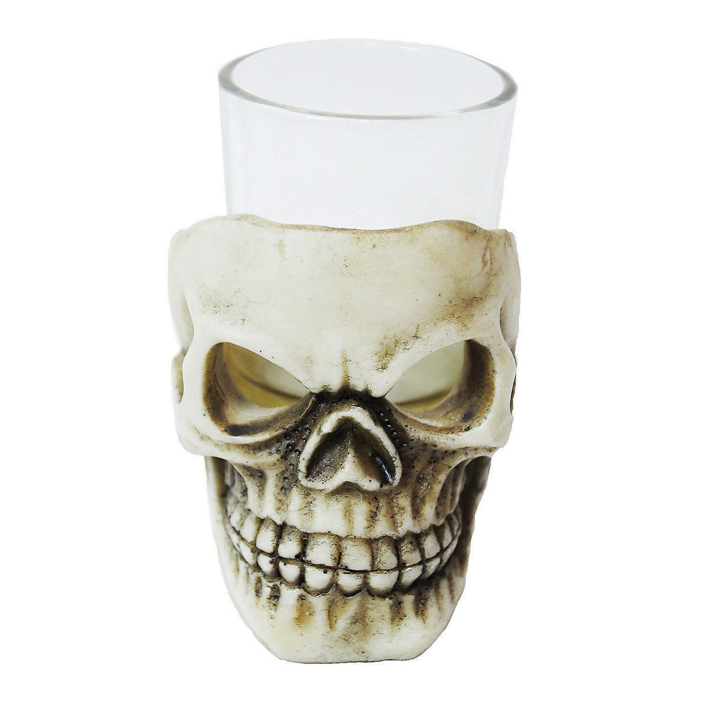Skull Shot Glass 3.5 In