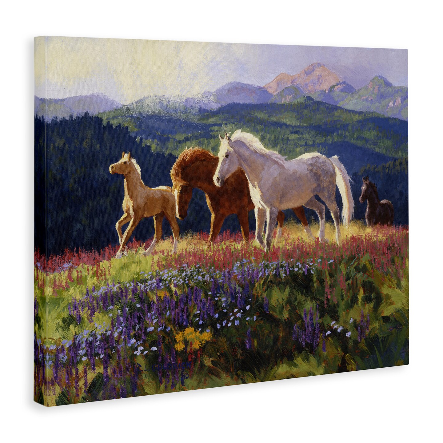 Stupell Industries Charming Mountain Valley Horses Canvas By Claire Goldrick