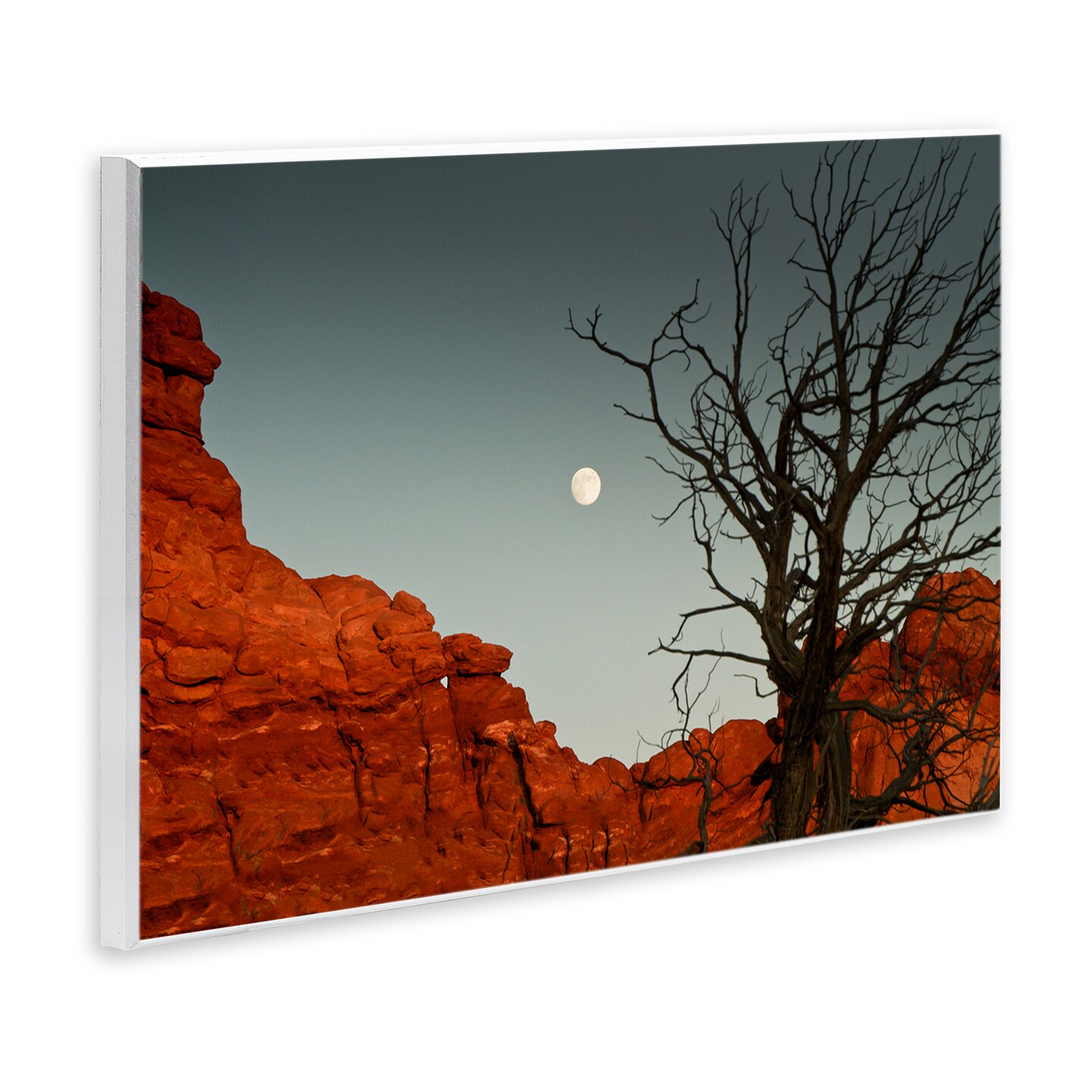 Stupell Industries Full Moon Canyon Photography Wall Plaque By Jadei Graphics
