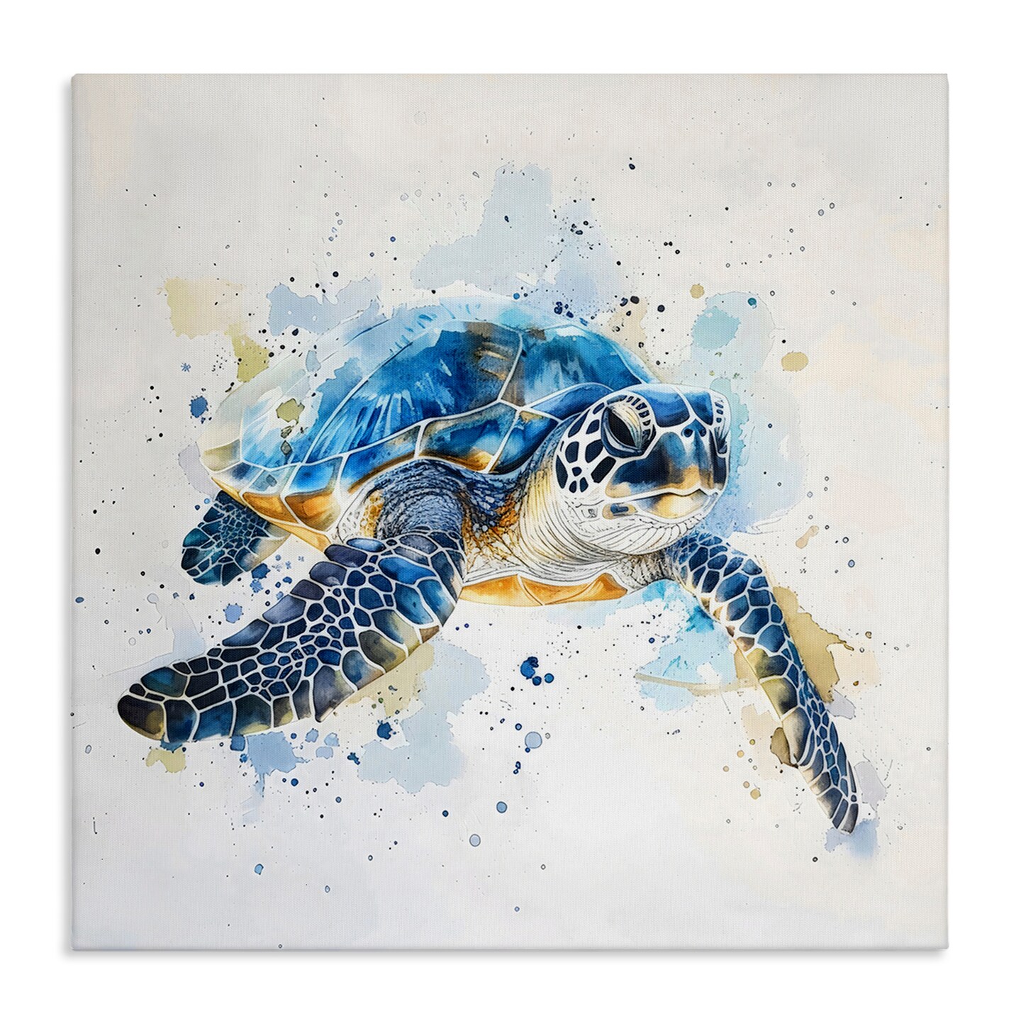 33ブレインタートル Stupell Industries Blue Sea Turtle with Splatter Canvas By