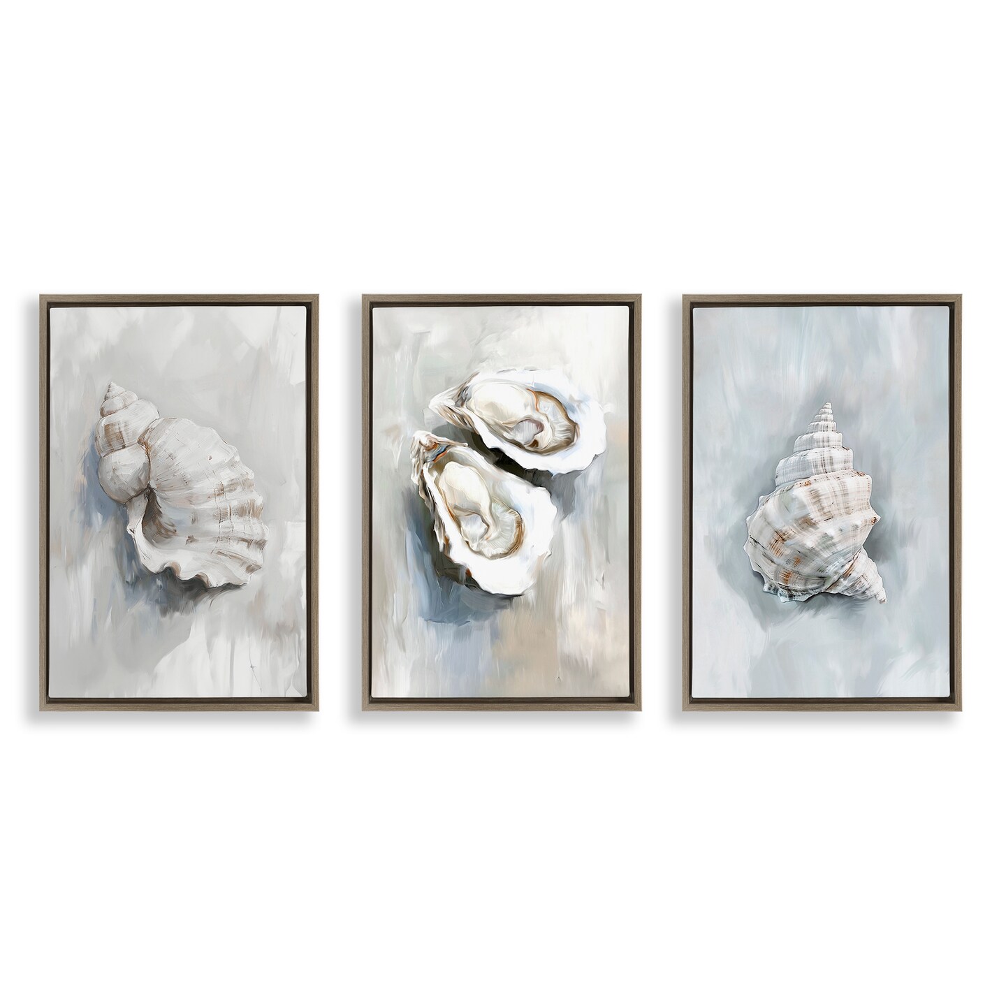 Stupell Industries Various Seashell Mirages 3pc Floating Frame Set By Ramona Murdock