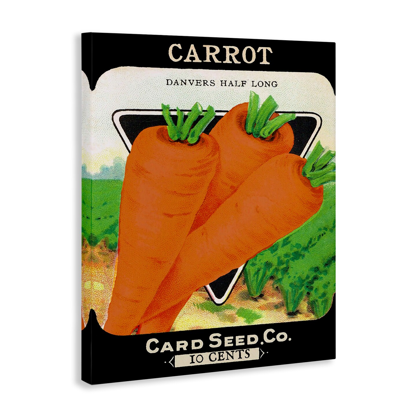 Stupell Industries Vintage Gardening Carrot Canvas By Lil' Rue