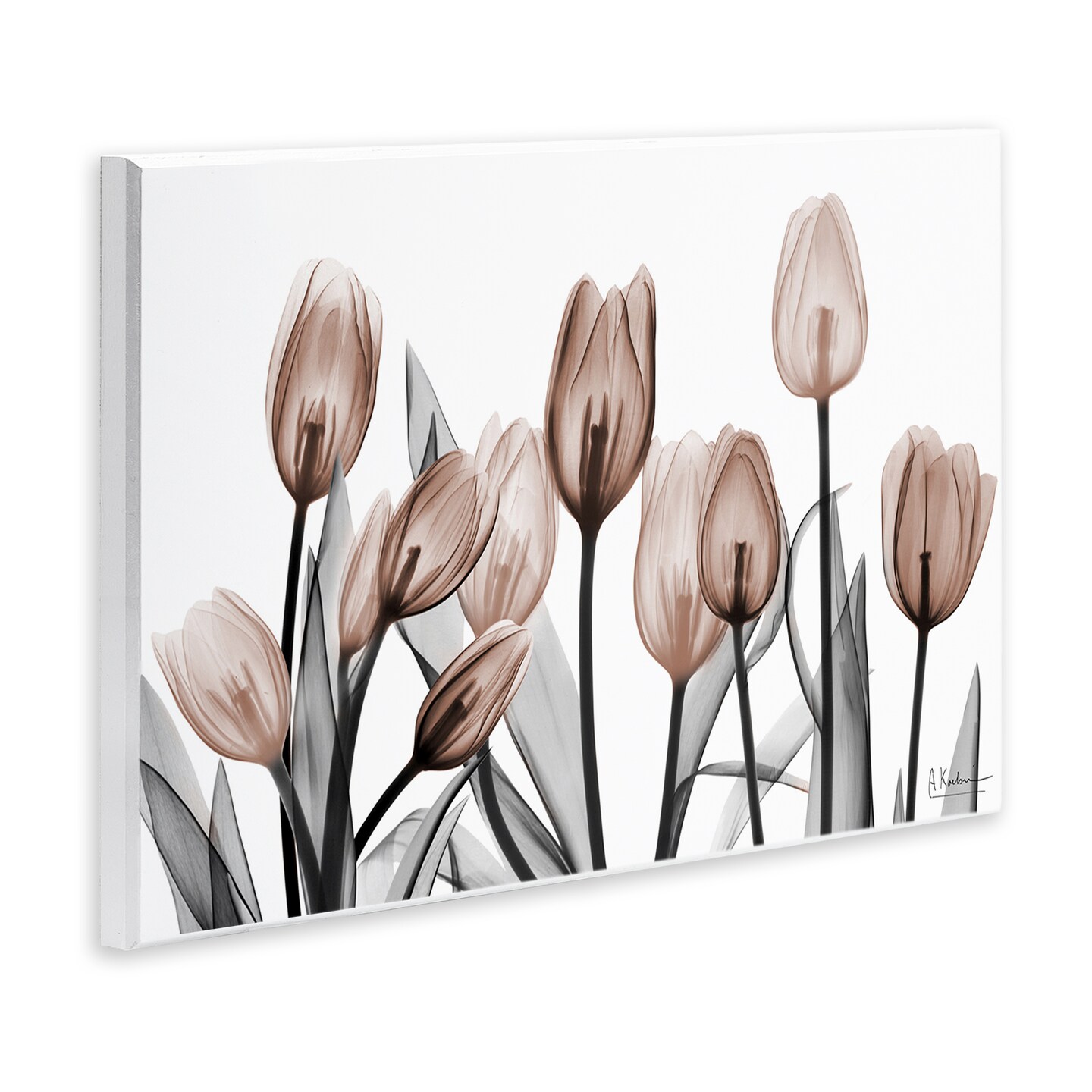 Stupell Industries Dramatic Mocha Tulips Wall Plaque By Albert Koetsier