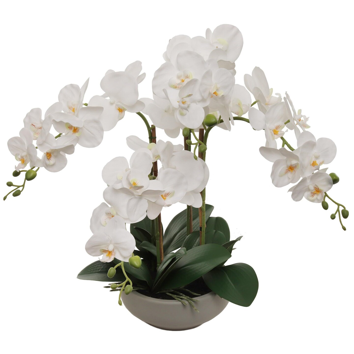 2-Pack 20" White Phalaenopsis Orchids | Faux Flowers in Round Grey Pots – Elegant Decor for Home & Office