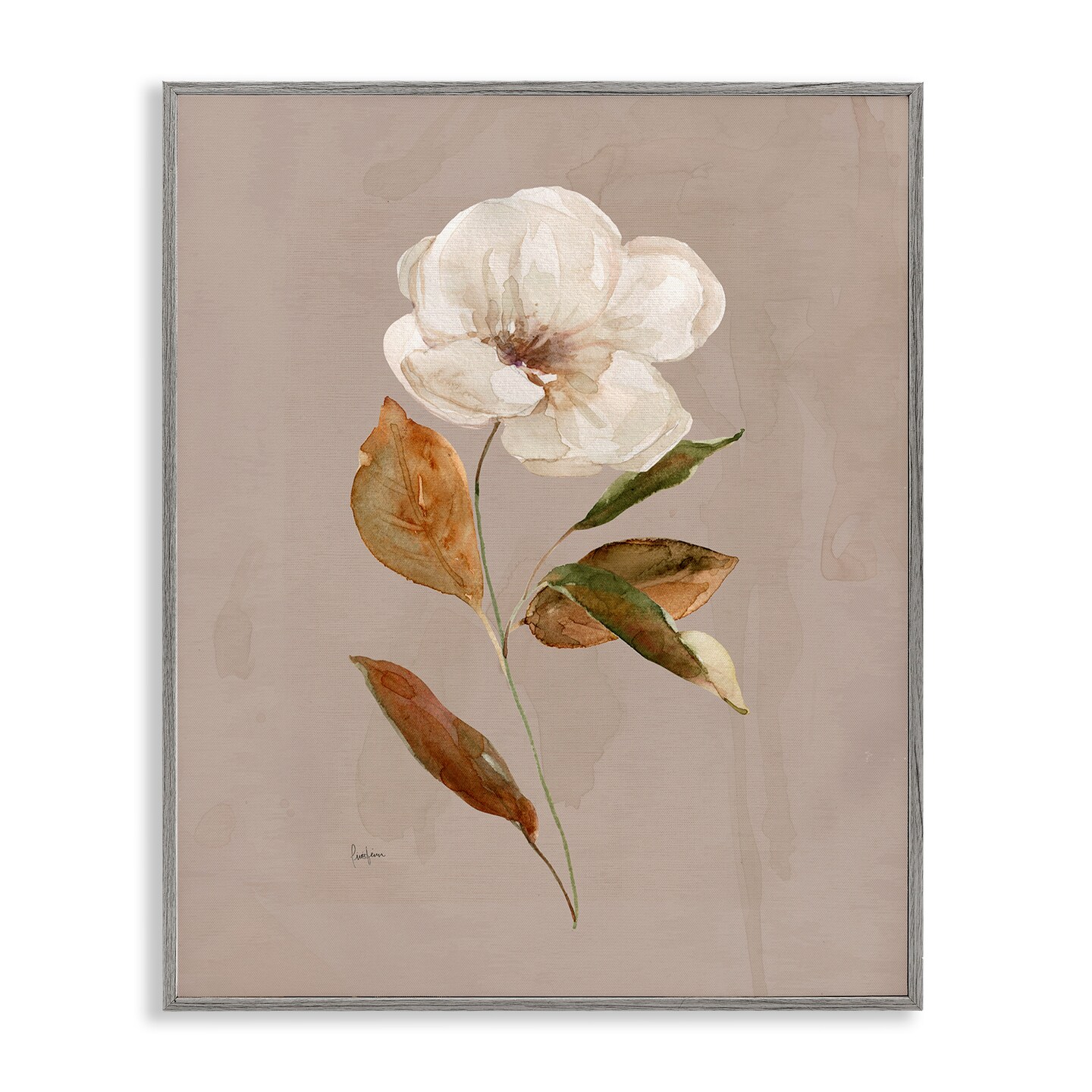 Stupell Industries Simple Apple Blossom Sprig Framed Giclee By Livi Finn