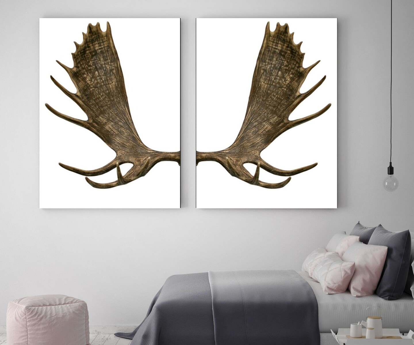 Moose antlers Art for Decor