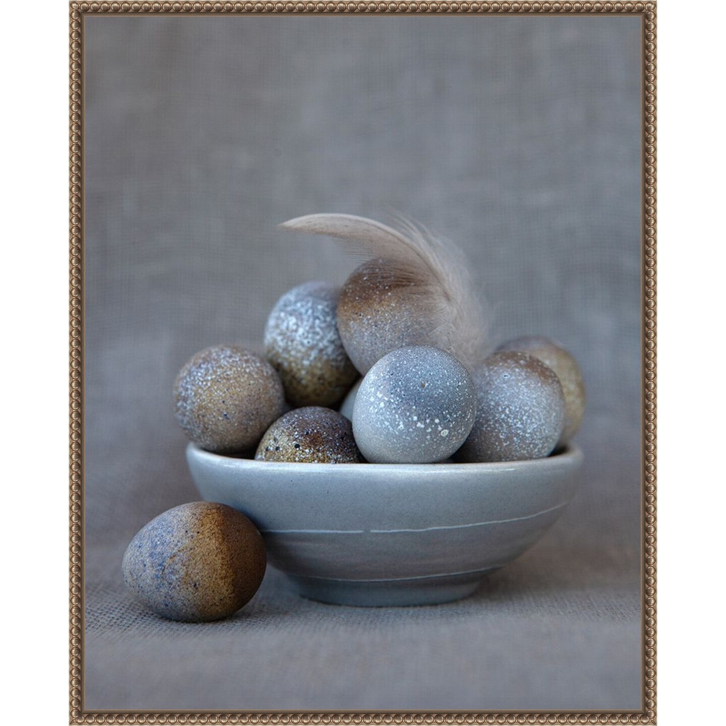 The Feather by Tania Soderman Framed Canvas Wall Art