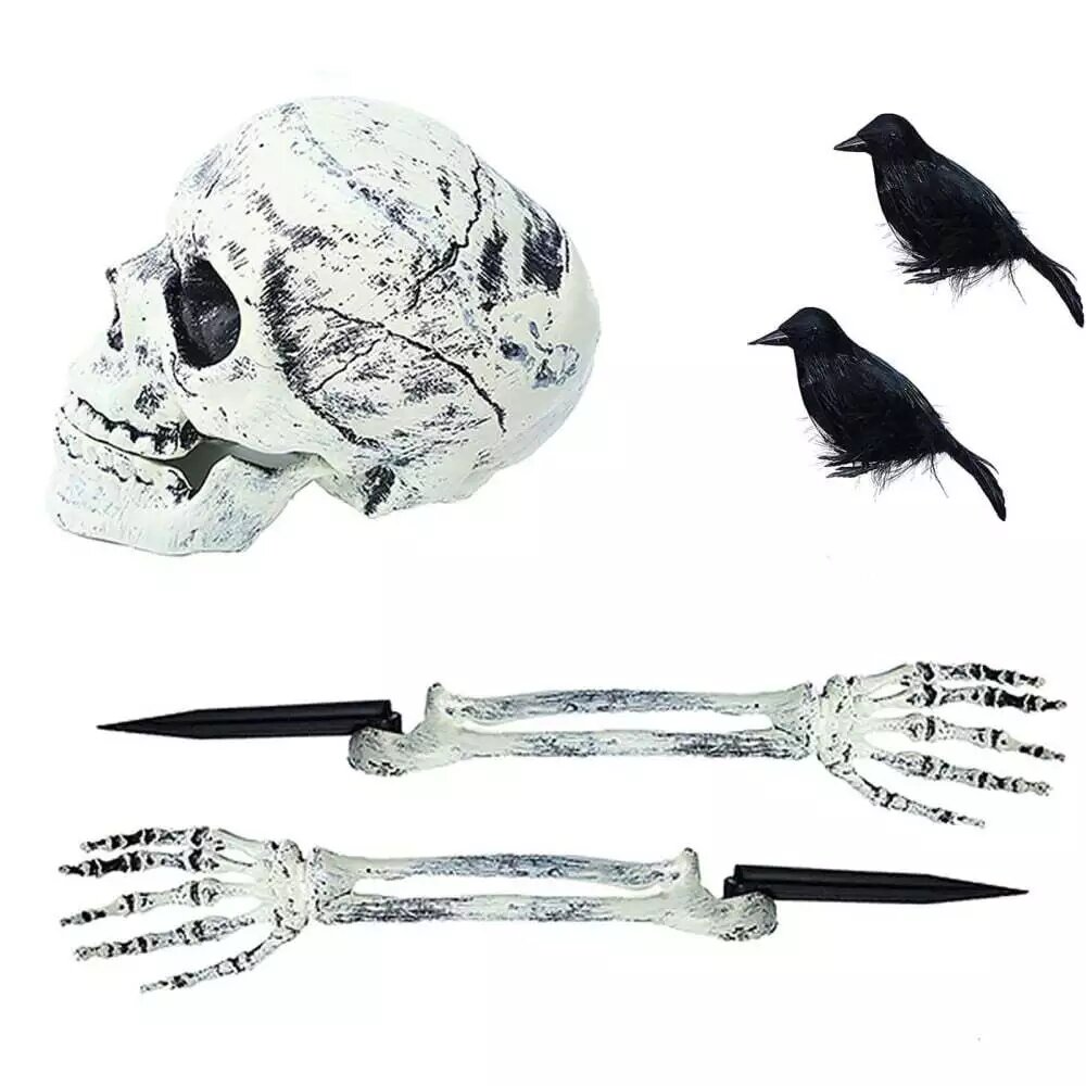 Kitcheniva Halloween Realistic Skull Skeleton Head Human Hand