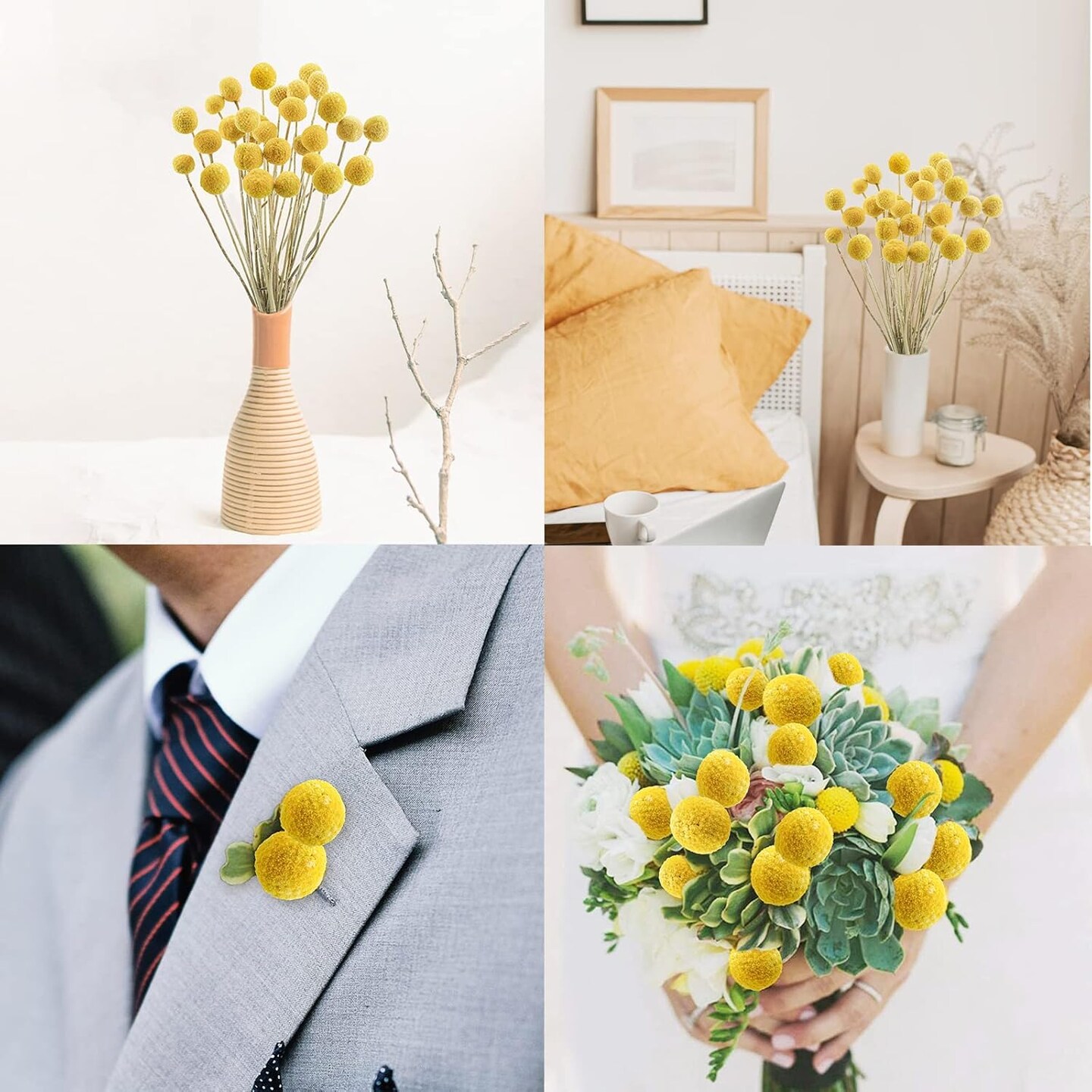 120pcs Dried Yellow Summer Billy Balls Flowers for Floral Arrangements, Wedding Decor, Tall Vase Filler, Indoor Use