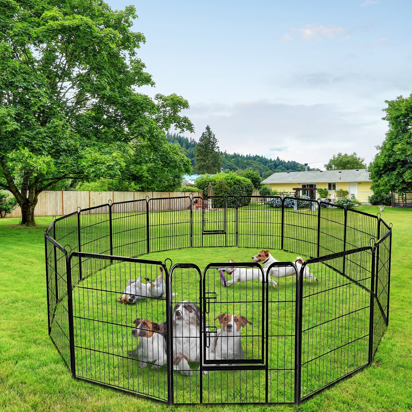 Black Iron Pet Playpen 8-Panel with Door Indoor Outdoor Safe Enclosure