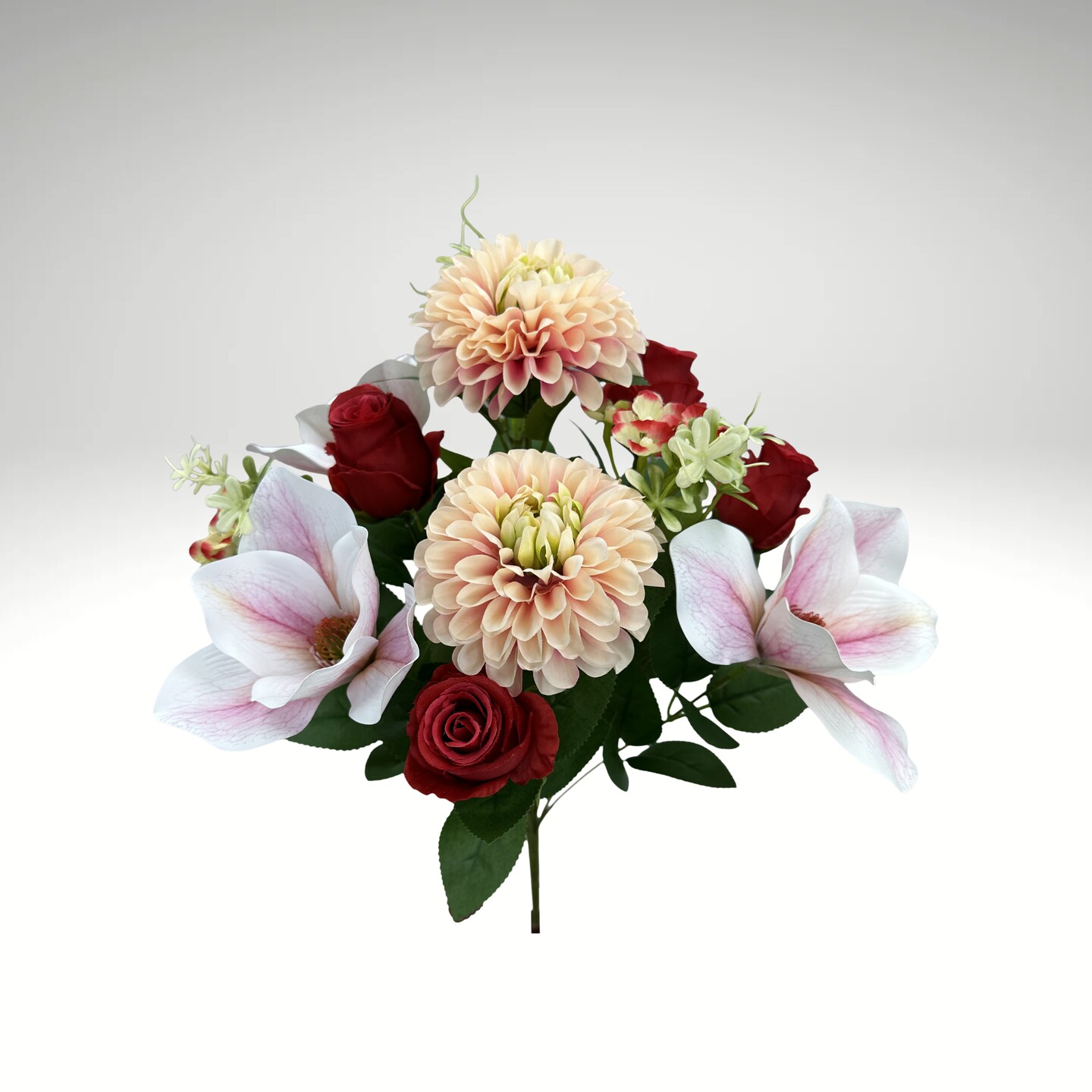 20" Zinnia Magnolia Rose Bush x12 | Mixed Floral Bush-64011RDPK