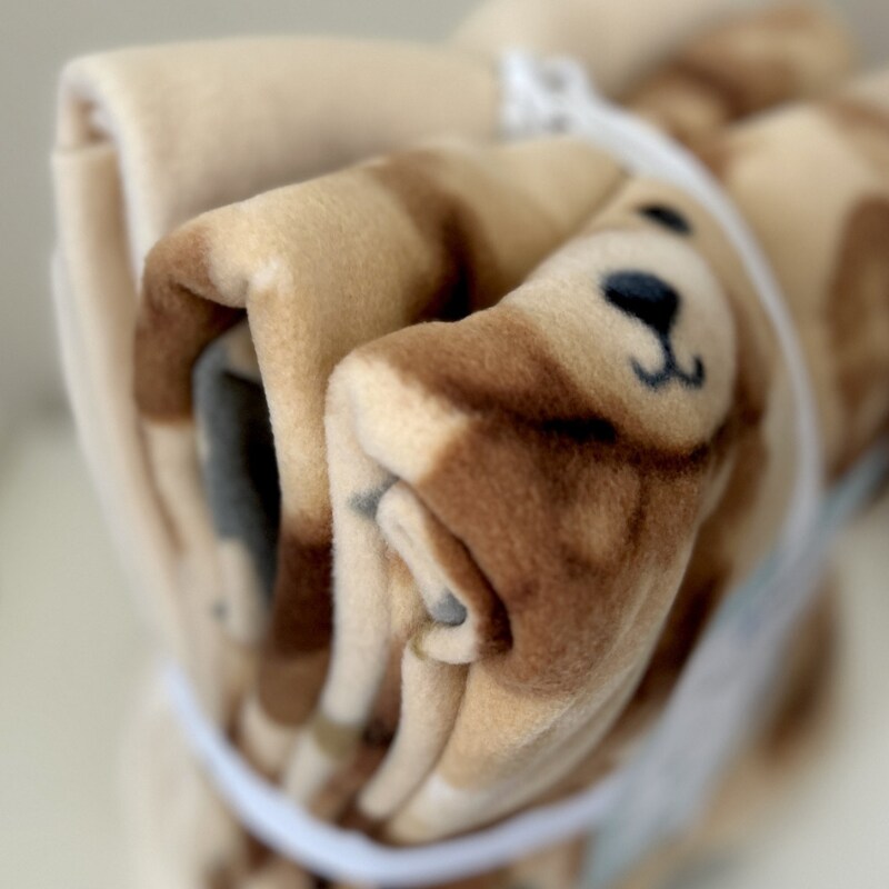 Teddy Bear Stars Anti-Pill Premium No-Sew Throw Fleece Fabric Kit (50x60)