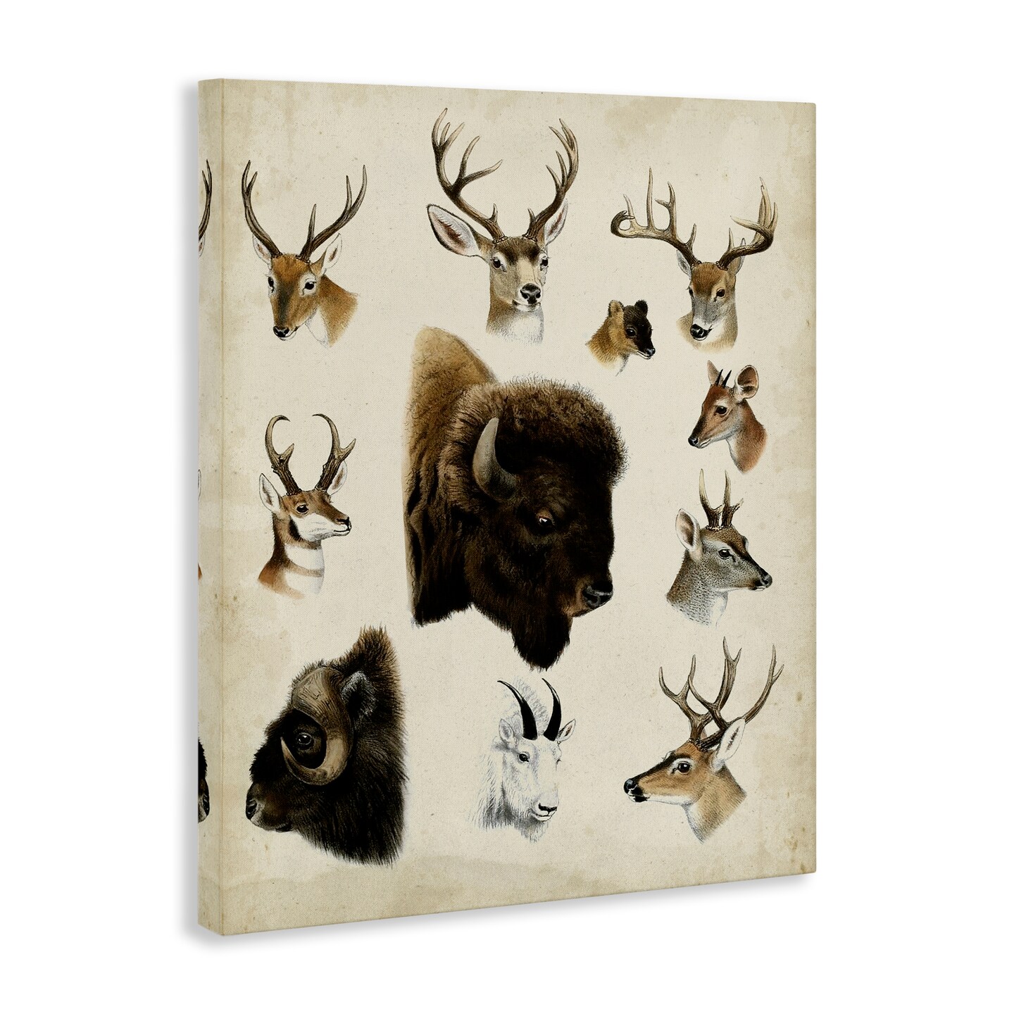 Stupell Industries Buffalo & Elks Woodland Animals Canvas By Unknown