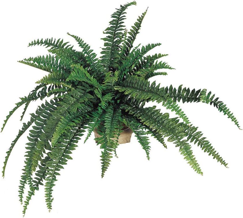 2-Pack &#x2013; 48&#x22; Wide Artificial Silk Boston Fern Plants with 48 Fronds &#x2013; Lifelike Indoor/Outdoor Greenery &#x2013; No-Maintenance Faux Ferns for Home, Office, or Garden D&#xE9;cor