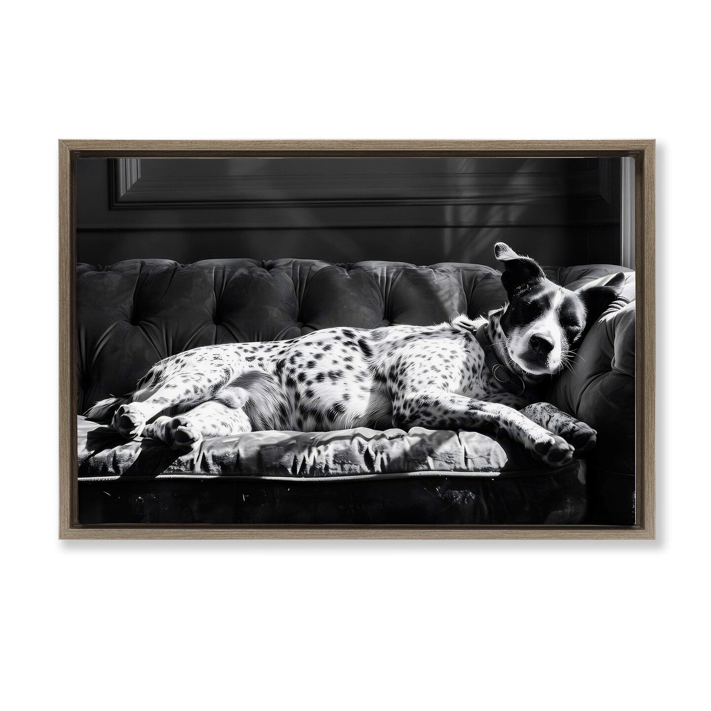 Stupell Industries Lounging Dog in Sun Floating Frame By LSR Creative Studio