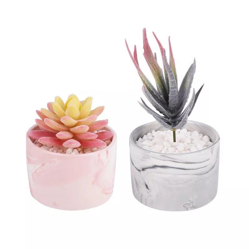 Set of 2 Mini Potted Artificial Succulent Plants