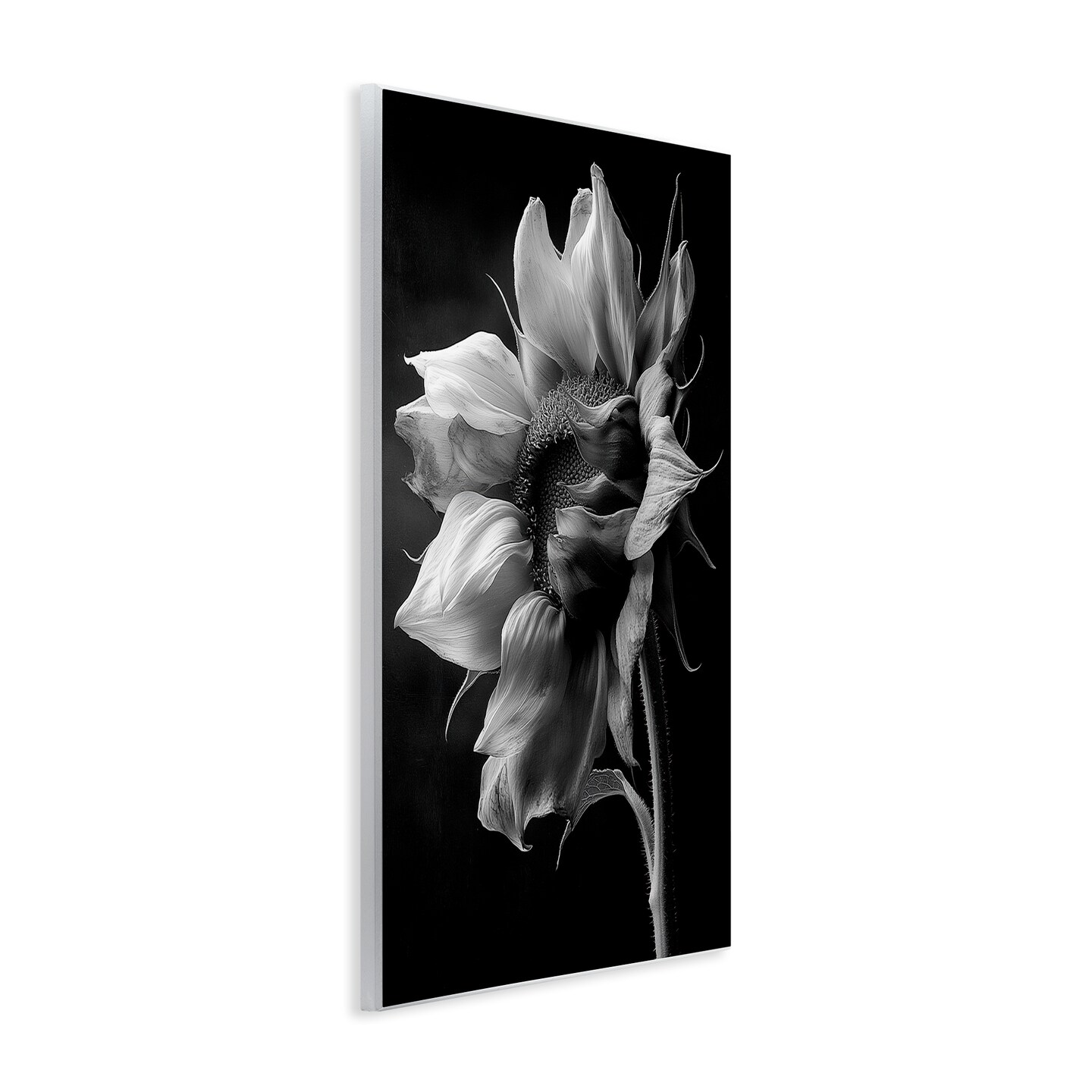 Stupell Industries Stark Contrast Sunflower Blossom Wall Plaque By Annabelle Hall
