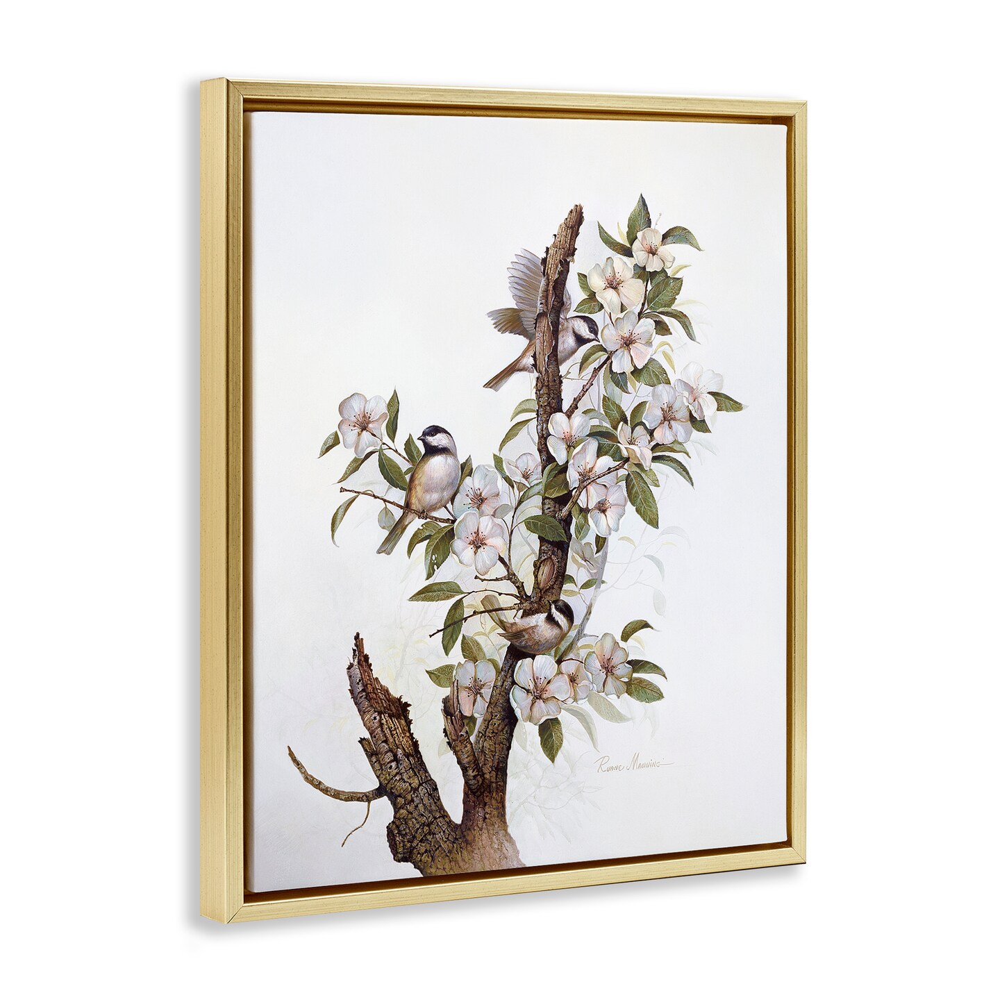 Stupell Industries Birds on Floral Tree Branch Floating Frame By RUANE MANNING