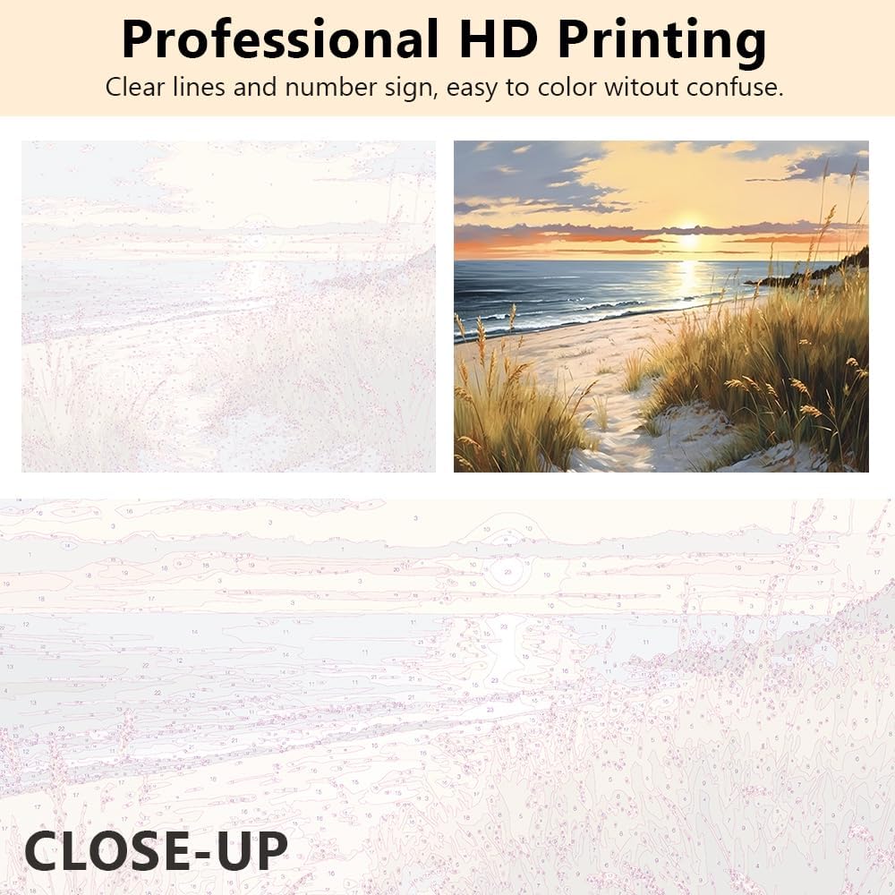 Paint by Numbers Kits for Adults & Beginners – Easy Acrylic Sunset Beach Scene, DIY Dunes & Grass Painting for Home Wall Decor (16 x 20 Inch)