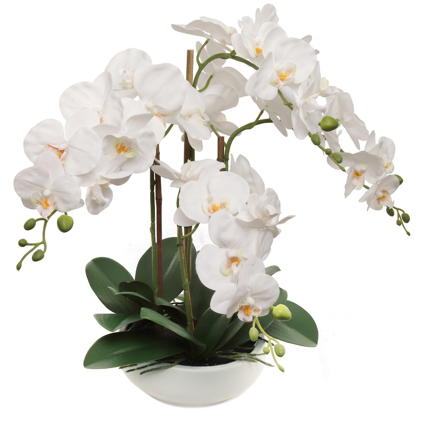 Set of 2 White Orchid Plants | 20" Realistic Phalaenopsis in Modern White Round Pots – Indoor Arrangement for Any Room