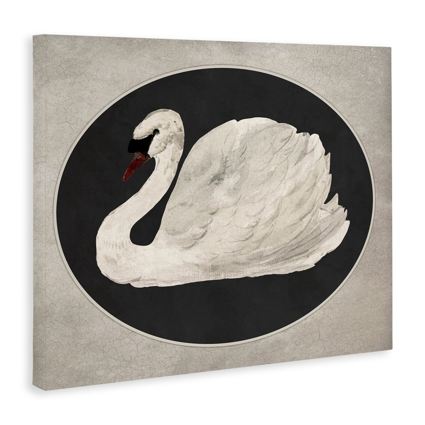 Stupell Industries Vintage Swan in Rounded Oval Canvas By Lettered and Lined