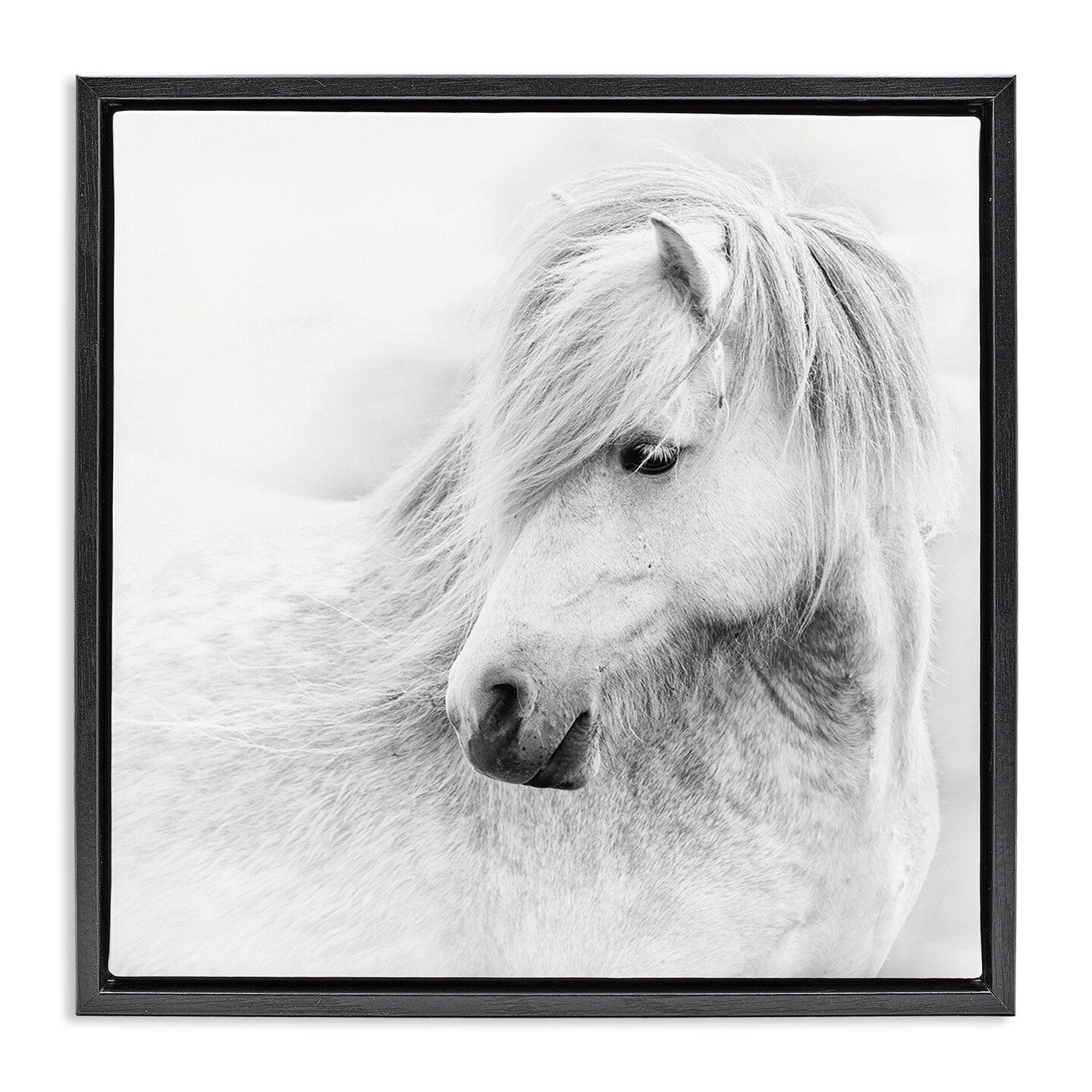 Stupell Industries Gazing White Toned Horse Floating Frame By PHBurchett