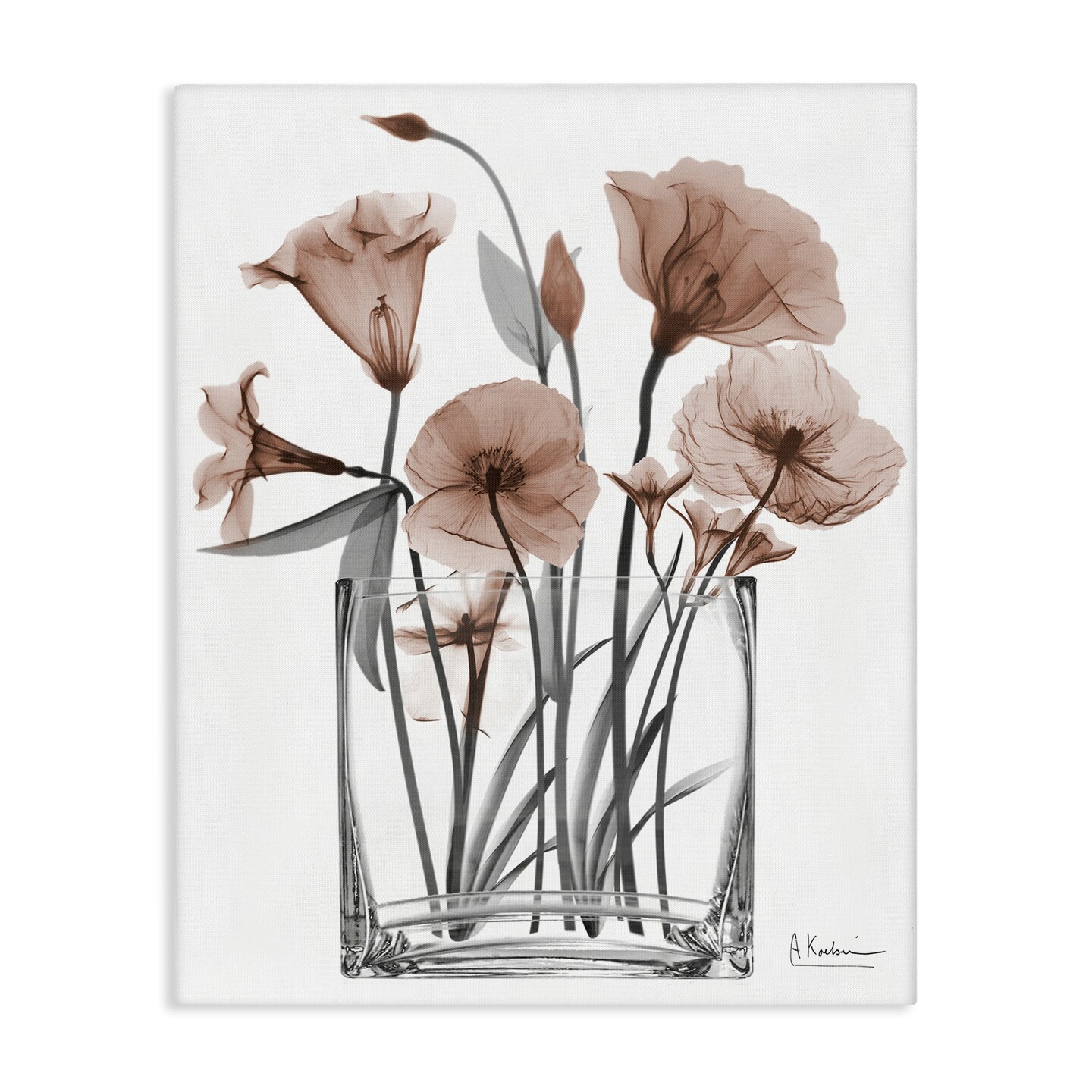 Stupell Industries Opaque Mocha Flowers Canvas By Albert Koetsier