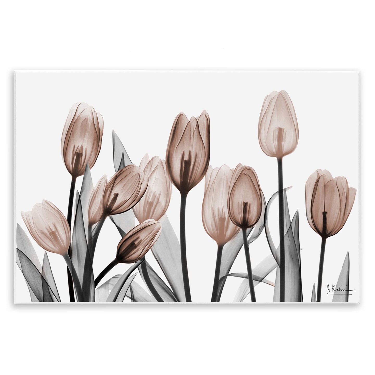 Stupell Industries Dramatic Mocha Tulips Wall Plaque By Albert Koetsier