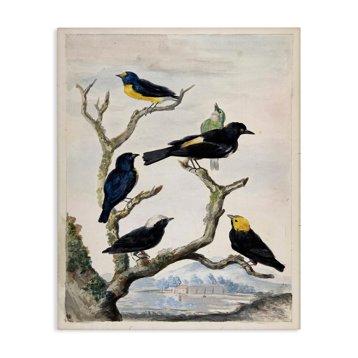 Stupell Industries Perched Birds on Branches Canvas By Stellar Design Studio