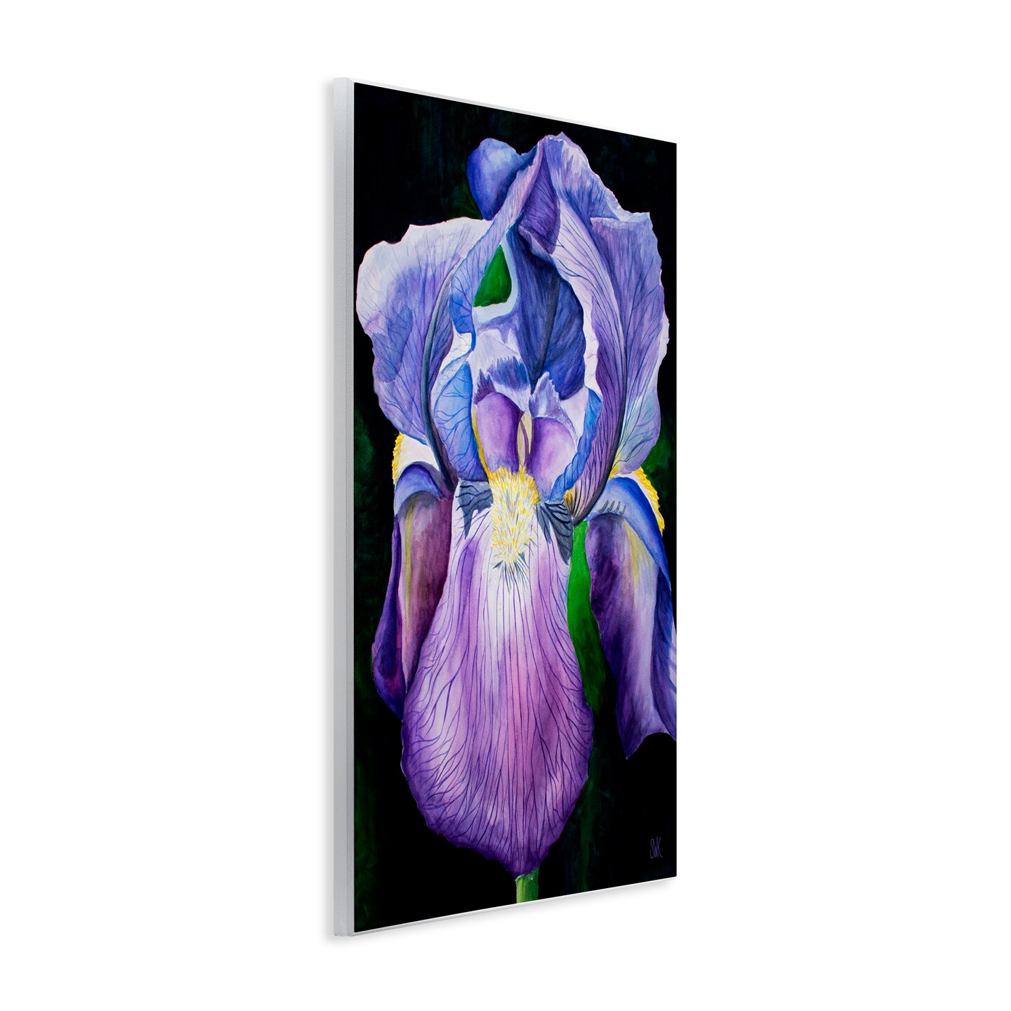 Stupell Industries Purple Iris Petals Wall Plaque By Sarah Waldron Kimball