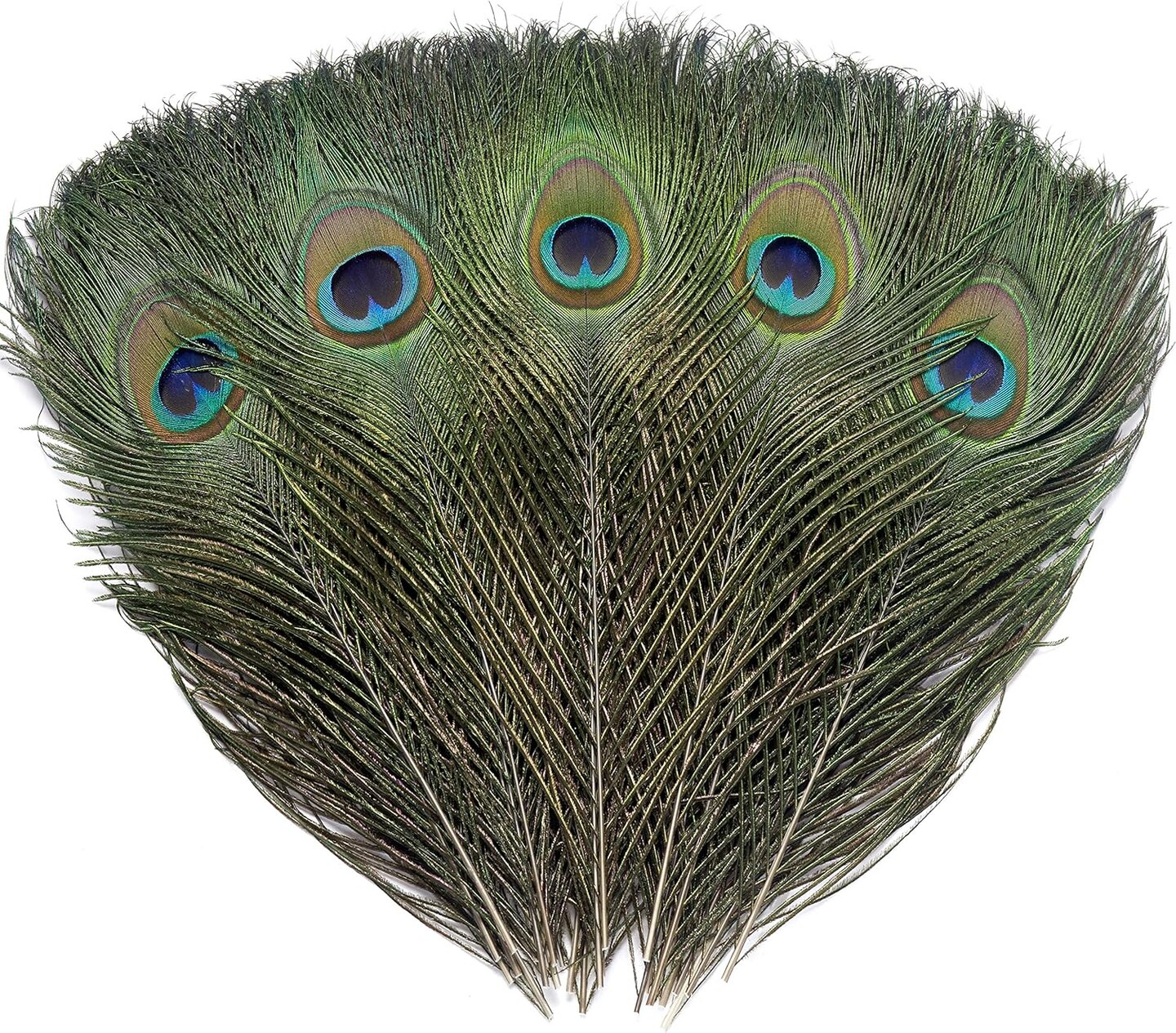 120 PCS Real Natural Peacock Eye Feathers