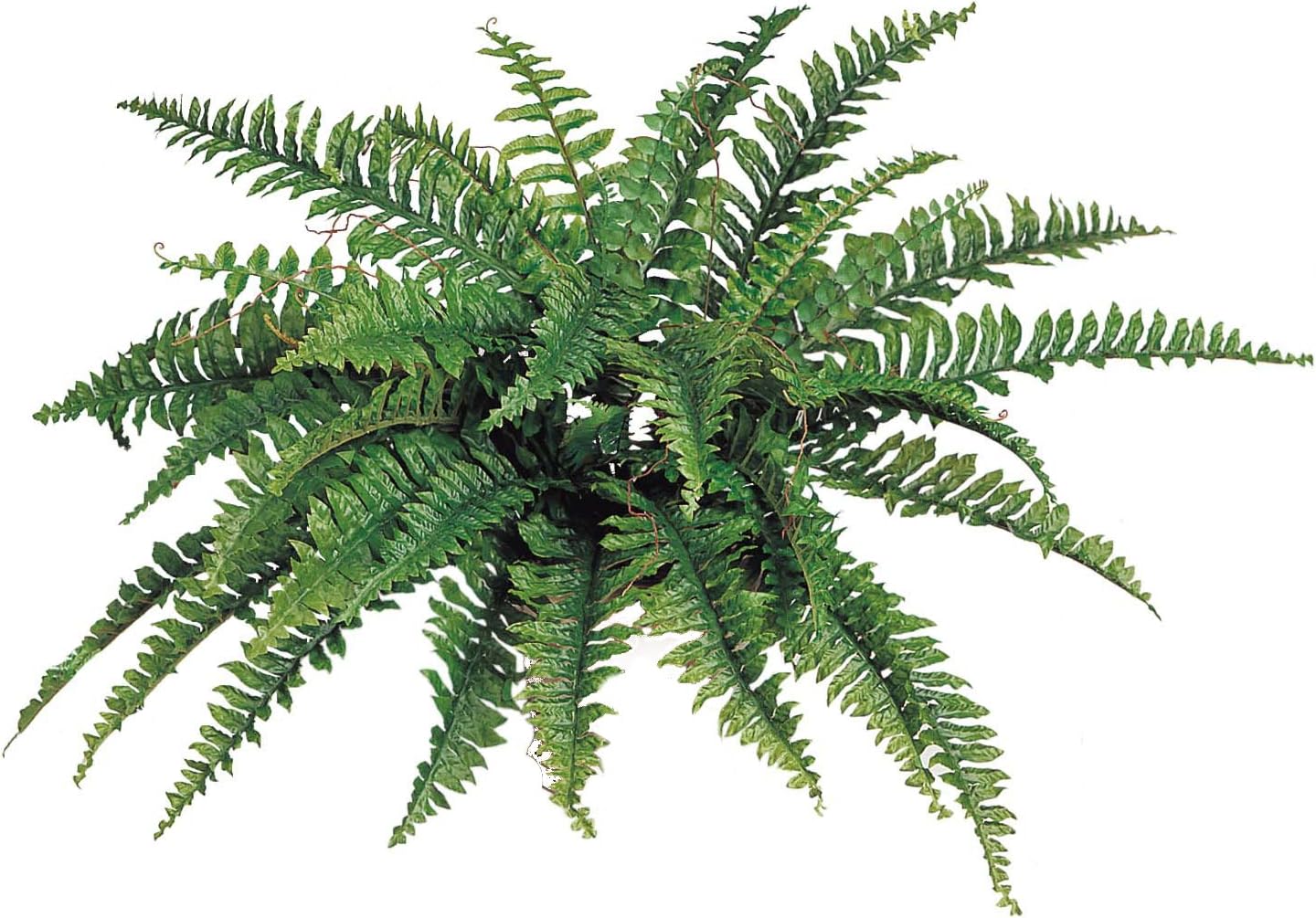 3-Pack – 34” Faux Boston Fern Plants with 42 Lifelike Fronds – UV Resistant Hanging Greenery for Home, Office, Porch & Garden Decor