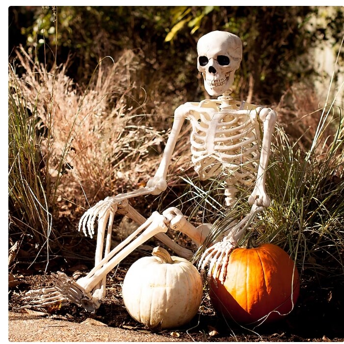 Halloween Yansun Posable Skeleton Free Standing Decoration 63&#x22;