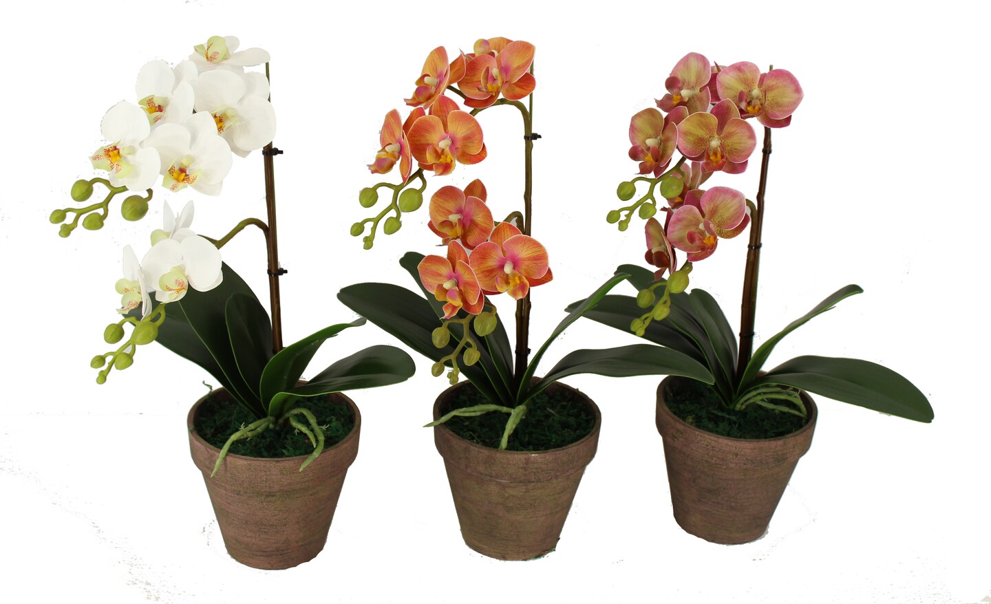 Phalaenopsis Bonsai Artificial Orchid Arrangement,Decorative Orchid Flower  Bonsai with Vintage Flowerpot | MakerPlace by Michaels