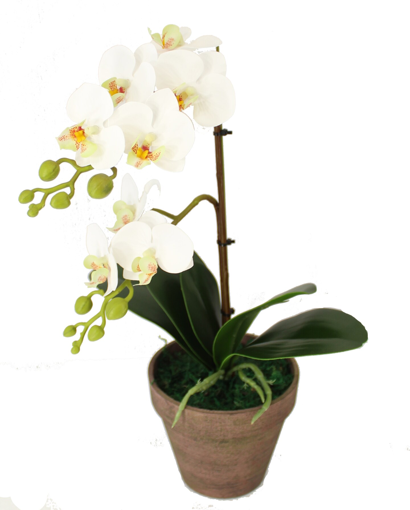 Phalaenopsis Bonsai Artificial Orchid Arrangement,Decorative Orchid Flower  Bonsai with Vintage Flowerpot | MakerPlace by Michaels