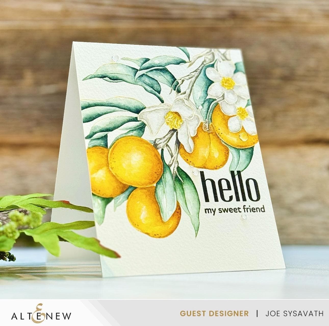 Craft Your Life Project Kit: Tangerine Grove