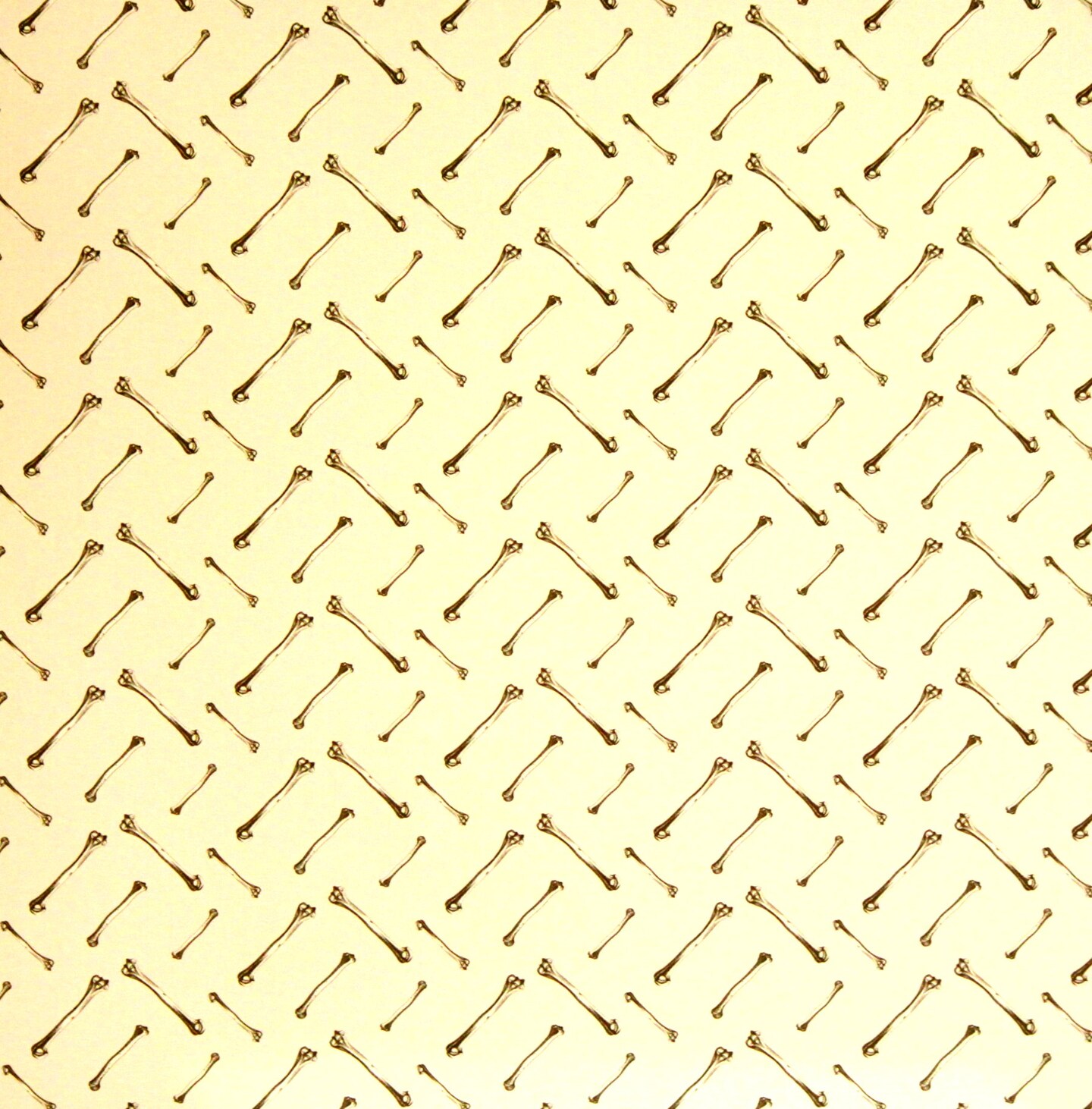 Park Lane Halloween Bones 12 x 12 Lt. Cardstock Paper
